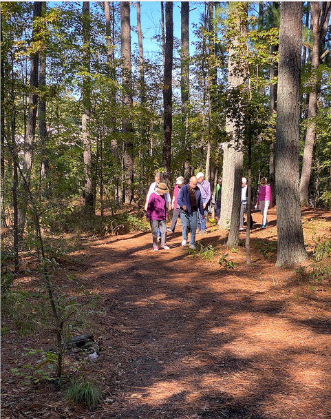 NorCCRA members take a group walk in the woods